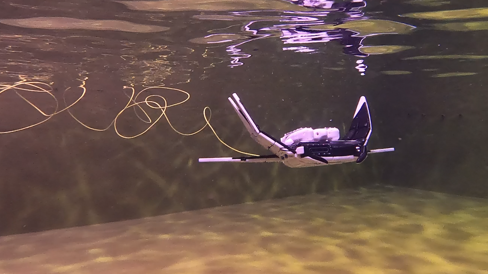 Manta ray robot with underwater walking function