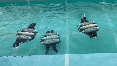 Multimodal locomotion control of multi-jointed BURs with swimming and legged capabilities featured image