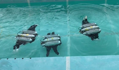 Multimodal locomotion control of multi-jointed BURs with swimming and legged capabilities featured image