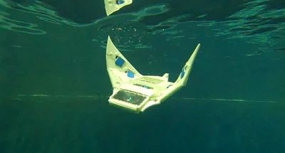 Design and Control of Multi-Rigid Link Pectoral Fins Using Virtual Spring-Damper System for a Manta Ray Robot featured image