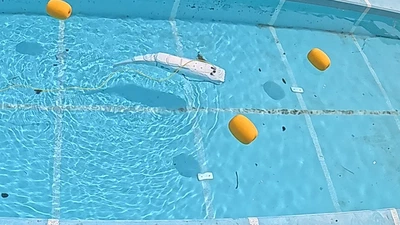 Obstacle Avoidance Using Population Vector Code-Based SNN-CPG Controller for Robotic Fish in Unknown Environment featured image